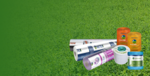 cordex banner