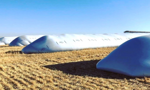 silage tubes field